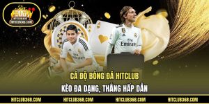 Cá độ bóng đá HITCLUB