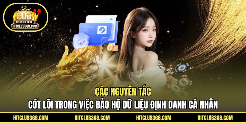 Các nguyên tắc cốt lõi trong việc bảo hộ dữ liệu định danh cá nhân