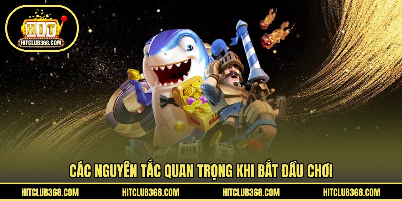 Các nguyên tắc quan trọng khi bắt đầu chơi