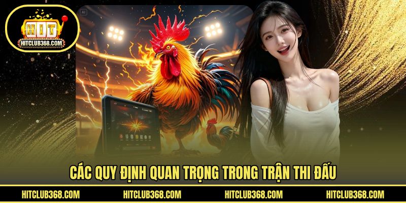 Các quy định quan trọng trong trận thi đấu
