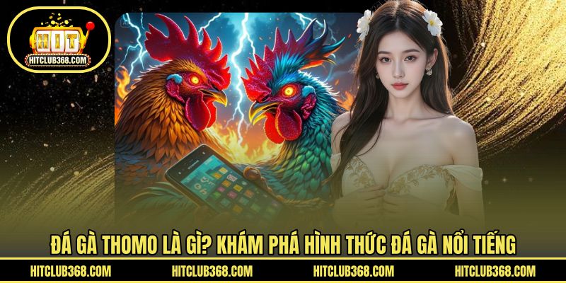 Đá gà Thomo là gì? Khám phá hình thức đá gà nổi tiếng