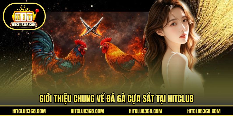 Giới thiệu chung về đá gà cựa sắt tại HITCLUB