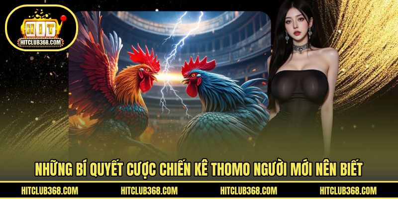Những bí quyết cược chiến kê Thomo người mới nên biết
