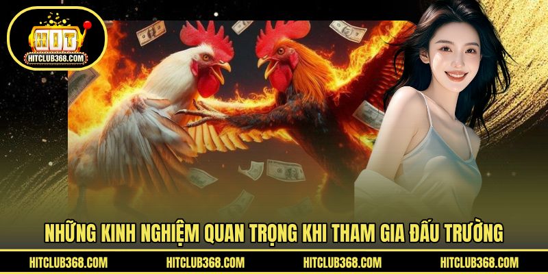 Những kinh nghiệm quan trọng khi tham gia đấu trường