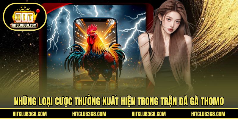 Những loại cược thường xuất hiện trong trận đá gà Thomo