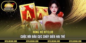 Rồng Hổ