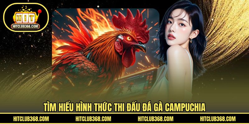 Tìm hiểu hình thức thi đấu đá gà Campuchia