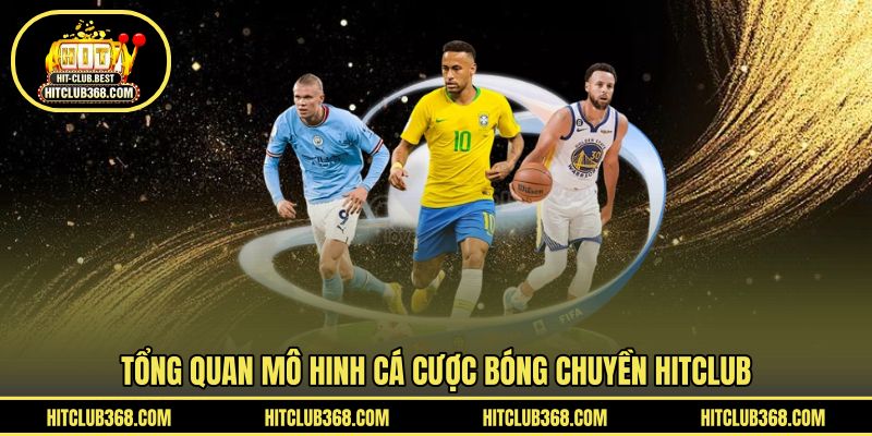 Tổng quan mô hinh cá cược bóng chuyền HITCLUB